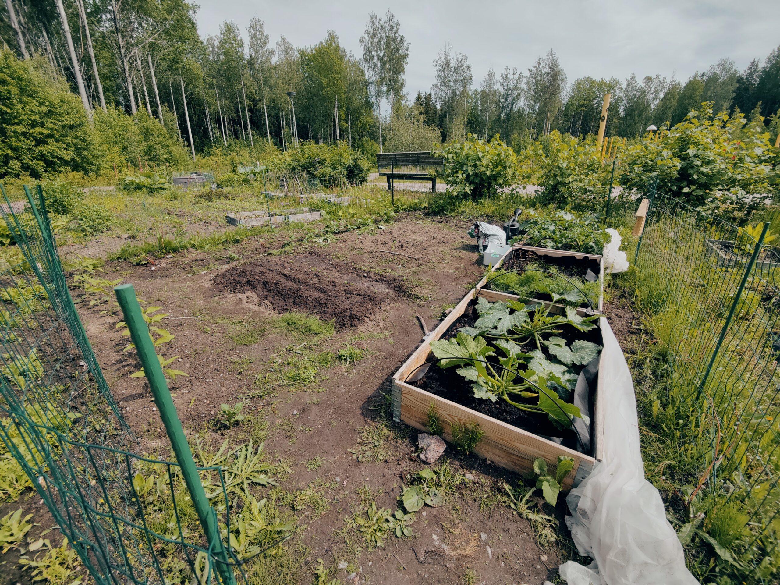 Kevät on vaihtunut kesäksi!